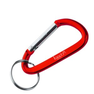 Carabiner Keychains