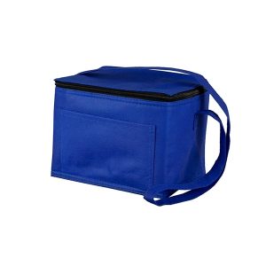 Outdoor Cooler